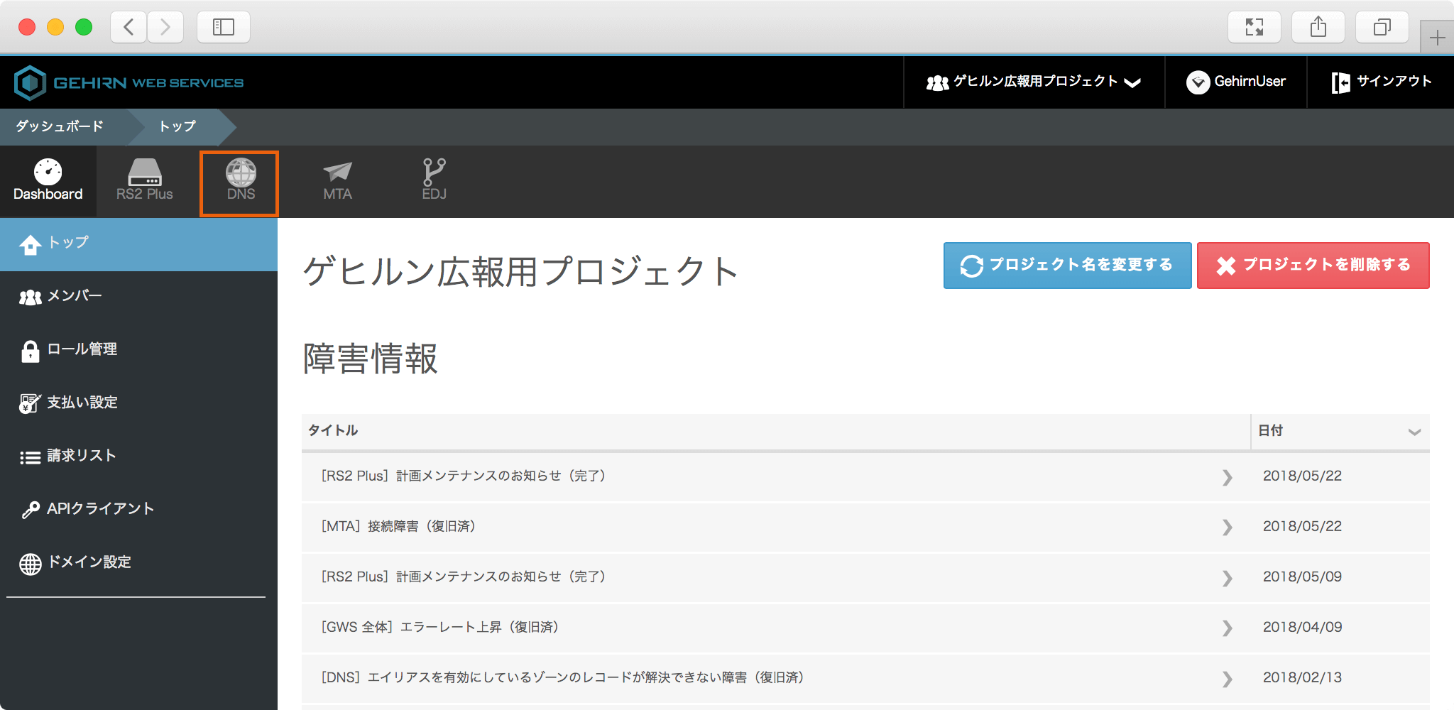 Gehirn DNS タブ