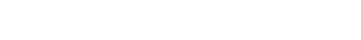 API Logo